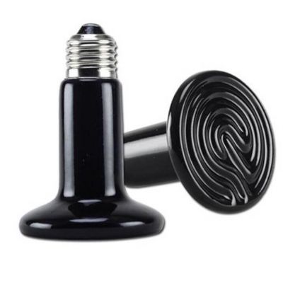 Lamp accessories,Plug and socket